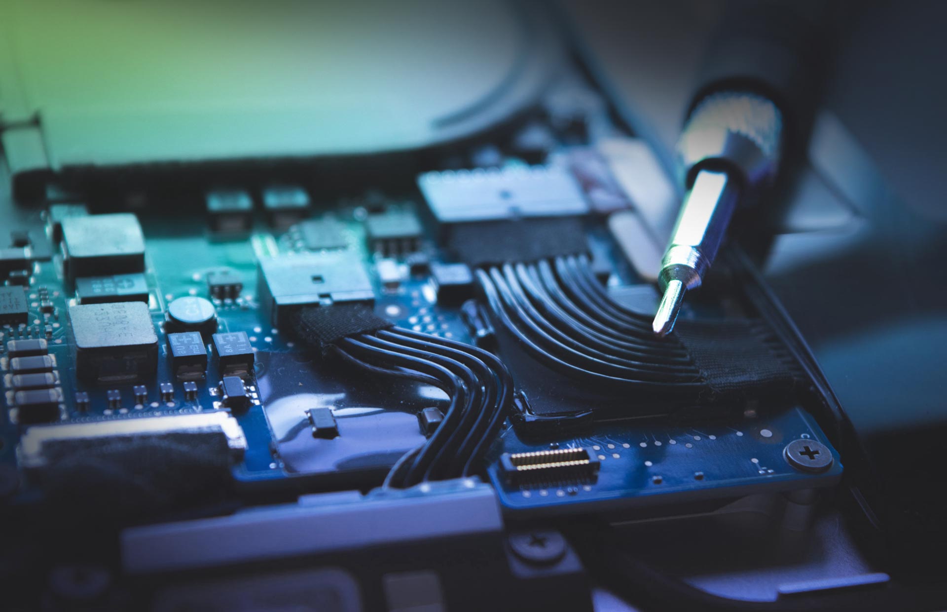 Invictus Globe - Specializes in logistics and consulting.